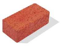 утолщенка полнотелая утолщенка полнотелая