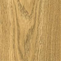 569c86eafa7a961551f5058a24cde406